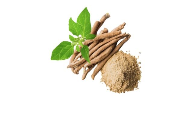 Ashwagandha roots